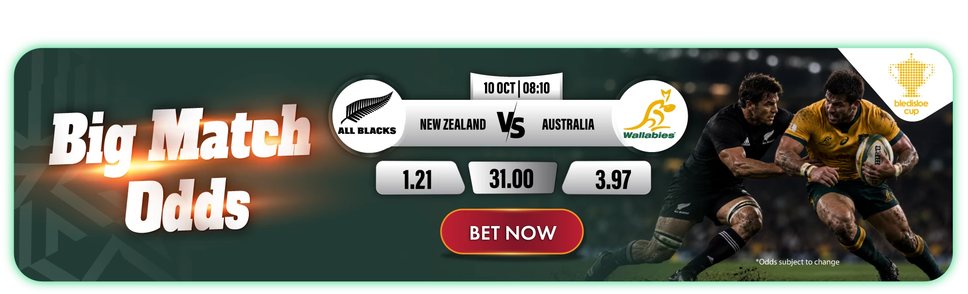 3198-sa-and-ls-bledisloe-cup-banners-17915489956127.webp?v=1791549429